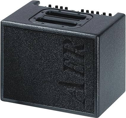 新素材新作 AER シグネチャー アコースティックギターアンプ - htii.edu.kz